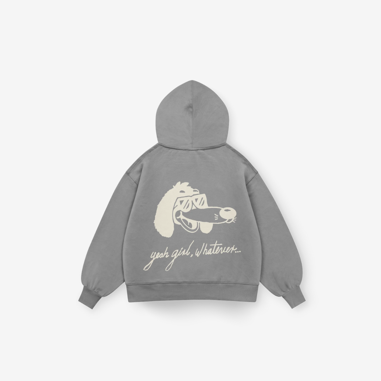 Hoodie gris ROSCO N CHILL — Sn's & F — Frente