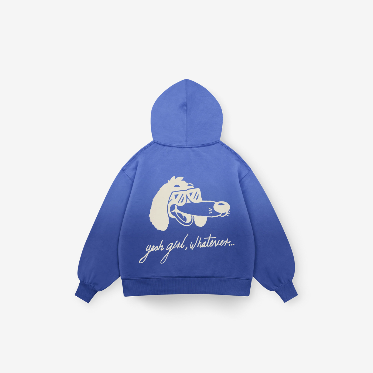 Hoodie sun fade ROSCO N CHILL — Sn's & F — Frente